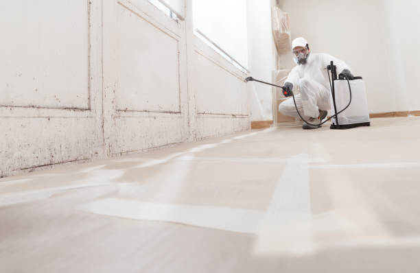24/7 Emergency Commercial Mold Remediation experts in Newport News, VA